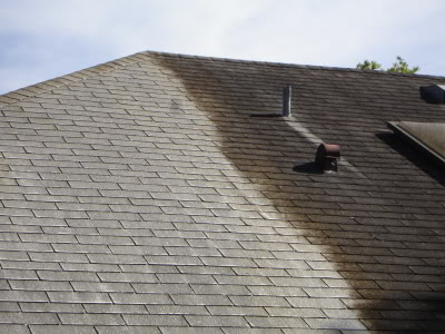 roof cleaning companies in huntsville